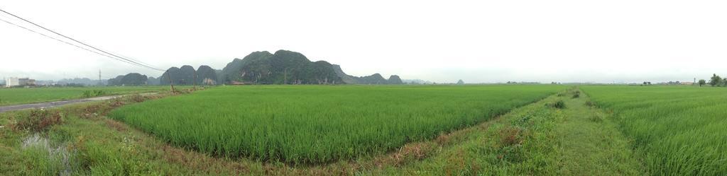 Tam Coc Homestay Ninh Bình Extérieur photo