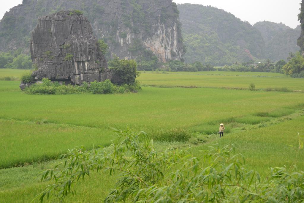 Tam Coc Homestay Ninh Bình Extérieur photo